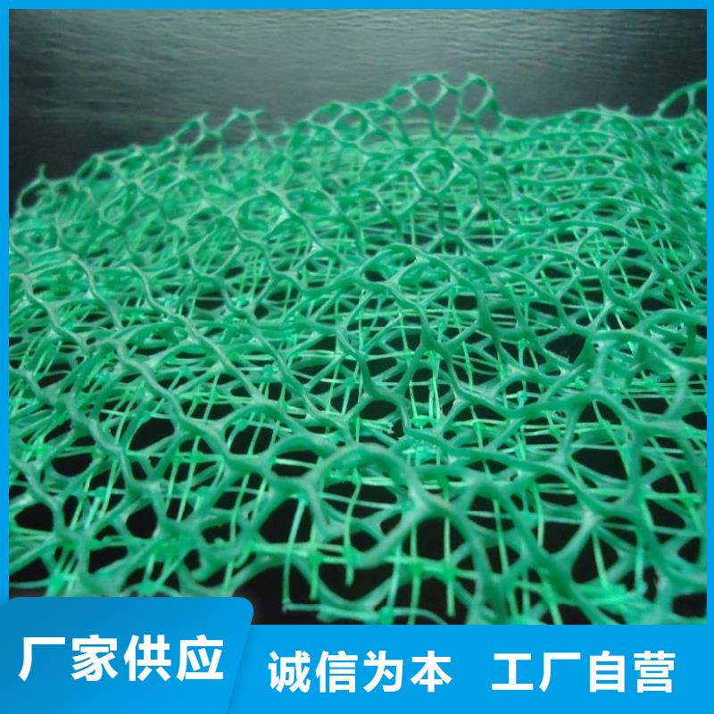 三维植被网-【钢纤维】专注产品质量与服务