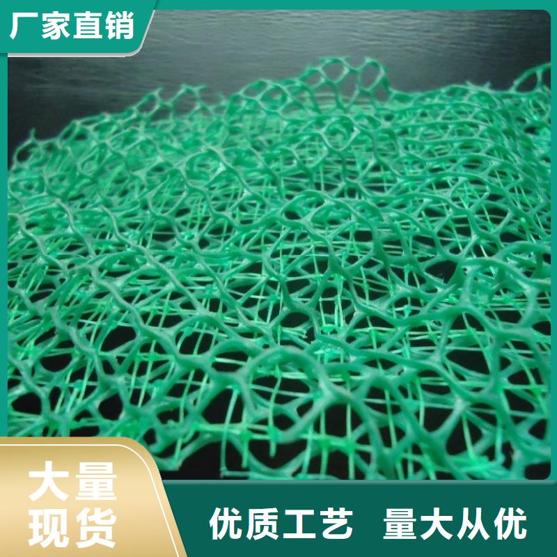 三维植被网土工布畅销当地