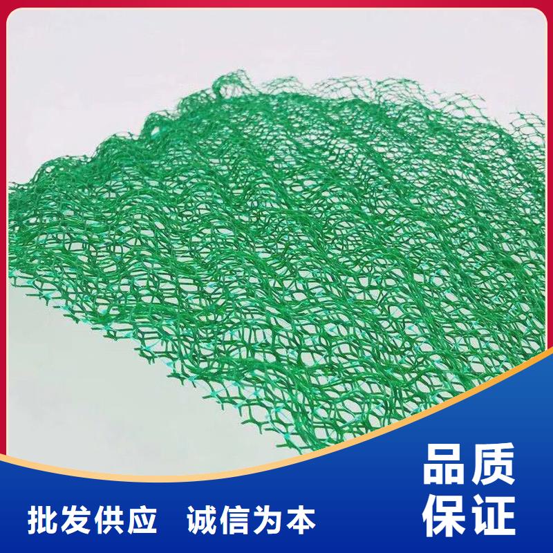 三维植被网【水平止水铜片】准时交付-金鸿耀工程材料(乌兰察布市分公司)