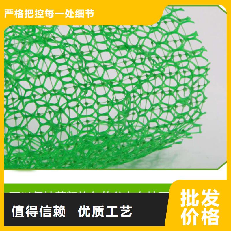崇义|瑞金|南昌|上饶|新余|吉安三维植被网-【土工格栅】产地源头好货-金鸿耀工程材料(赣州市分公司)