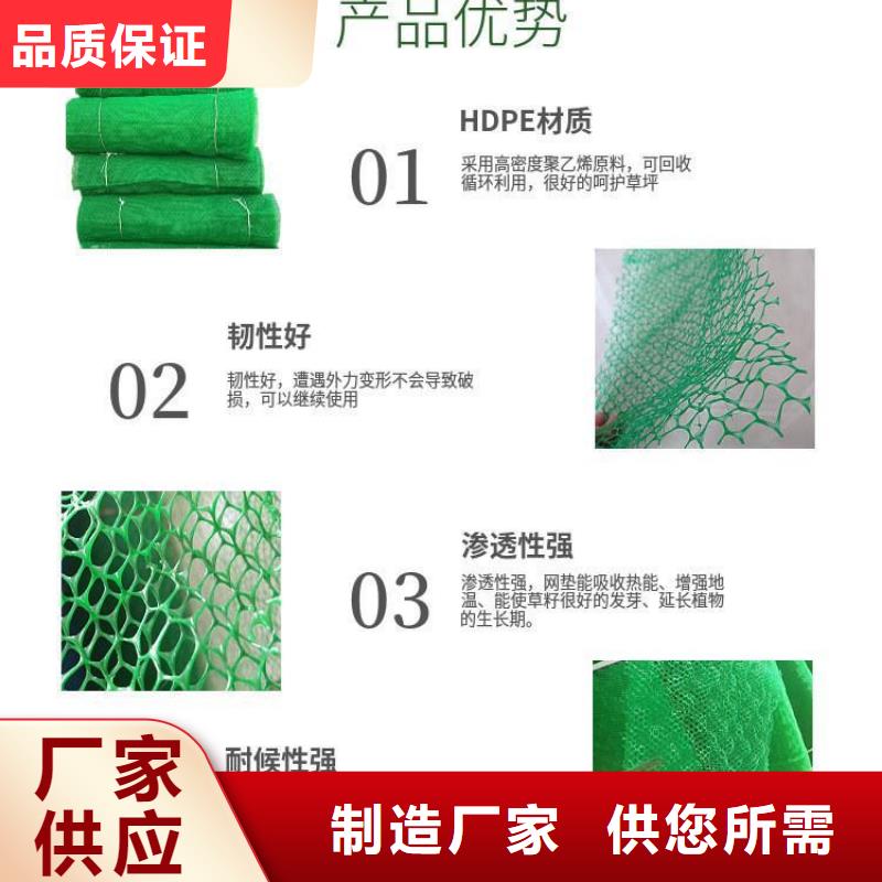 三维植被网护坡报价、三维植被网护坡报价生产厂家-发货及时