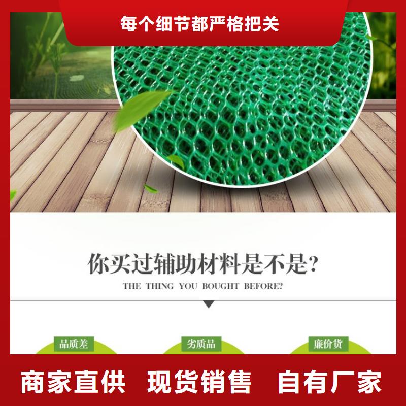 哪里有卖好品质用的放心 三维植被网【水平止水铜片】准时交付-当地厂家_供应案例
