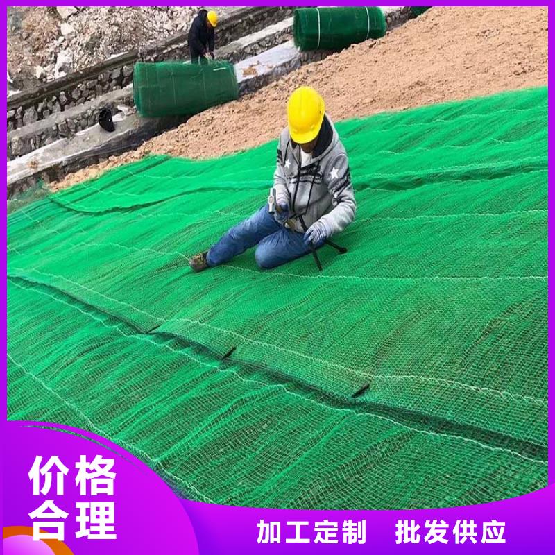三维植被网,铜止水生产厂家质检合格发货