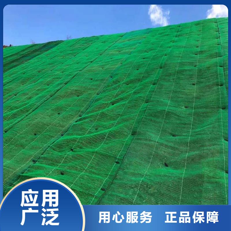 三维植被网【水平止水铜片】准时交付-金鸿耀工程材料(乌兰察布市分公司)