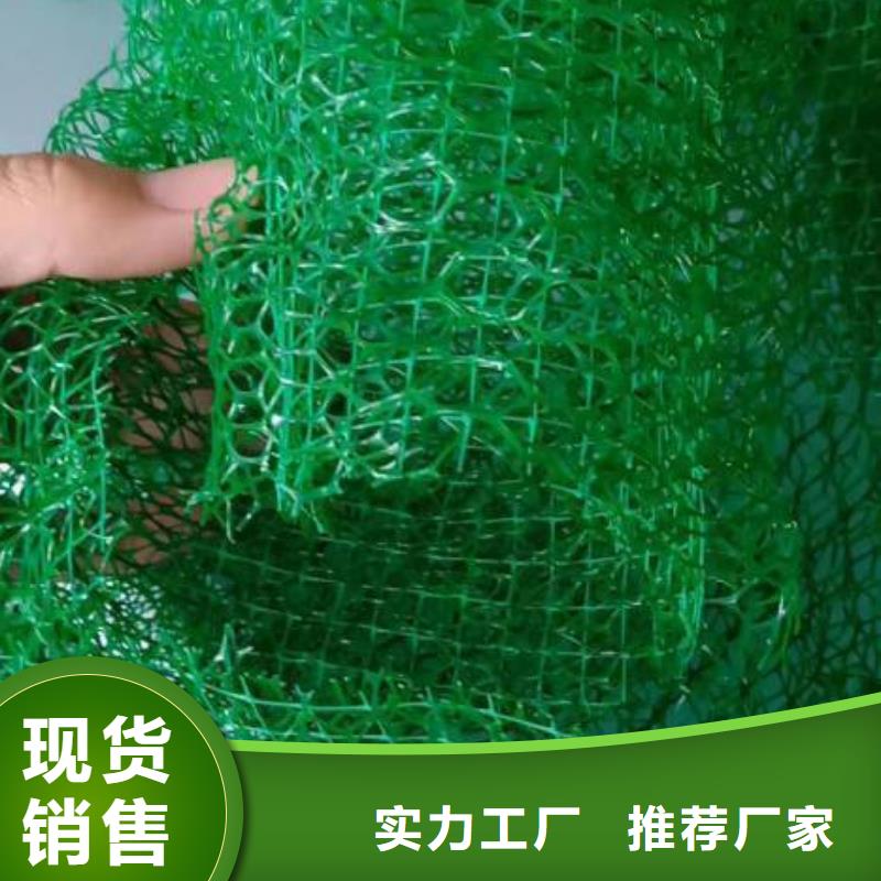 三维植被网土工格栅工厂认证