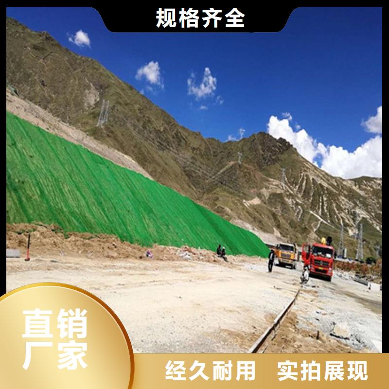 三维植被网【水平止水铜片】准时交付-金鸿耀工程材料(乌兰察布市分公司)