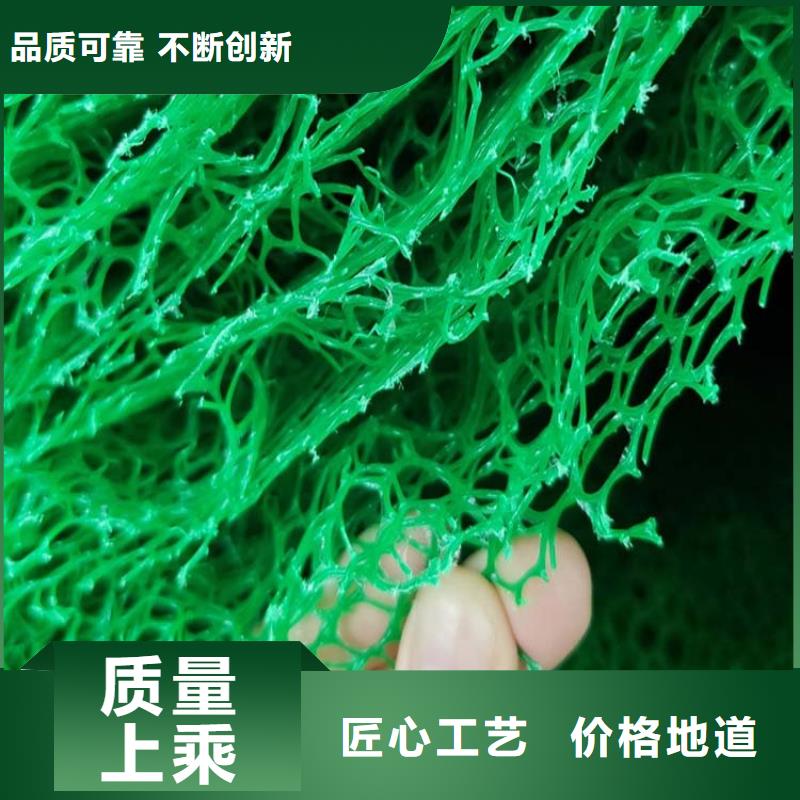 哪里有卖好品质用的放心 三维植被网【水平止水铜片】准时交付-当地厂家_供应案例