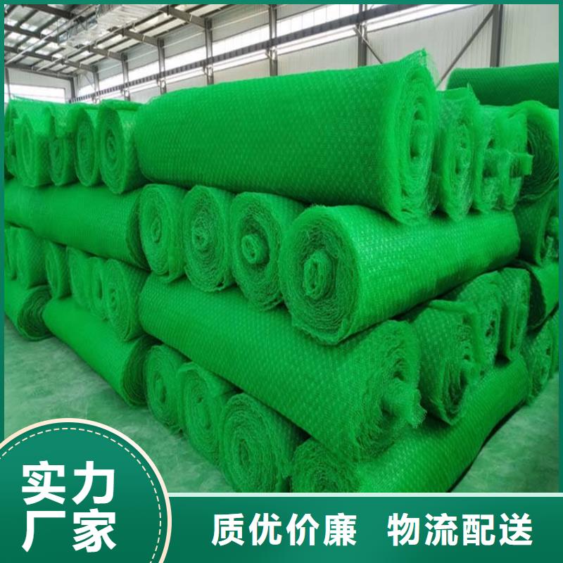 【三维植被网,土工布好产品放心购】