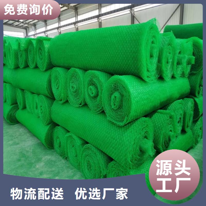 三维植被网土工布畅销当地