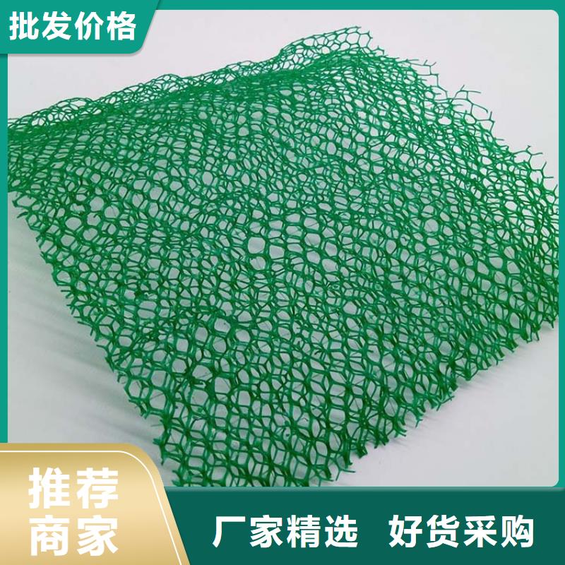 三维植被网铜止水的图文介绍