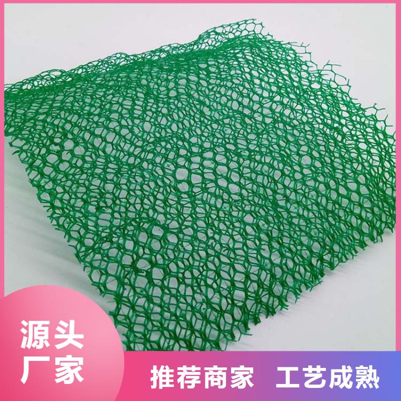 三维植被网,铜止水生产厂家质检合格发货