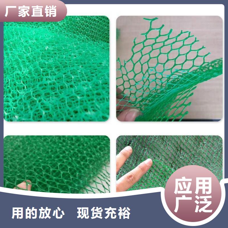 三维植被网土工格栅工厂认证