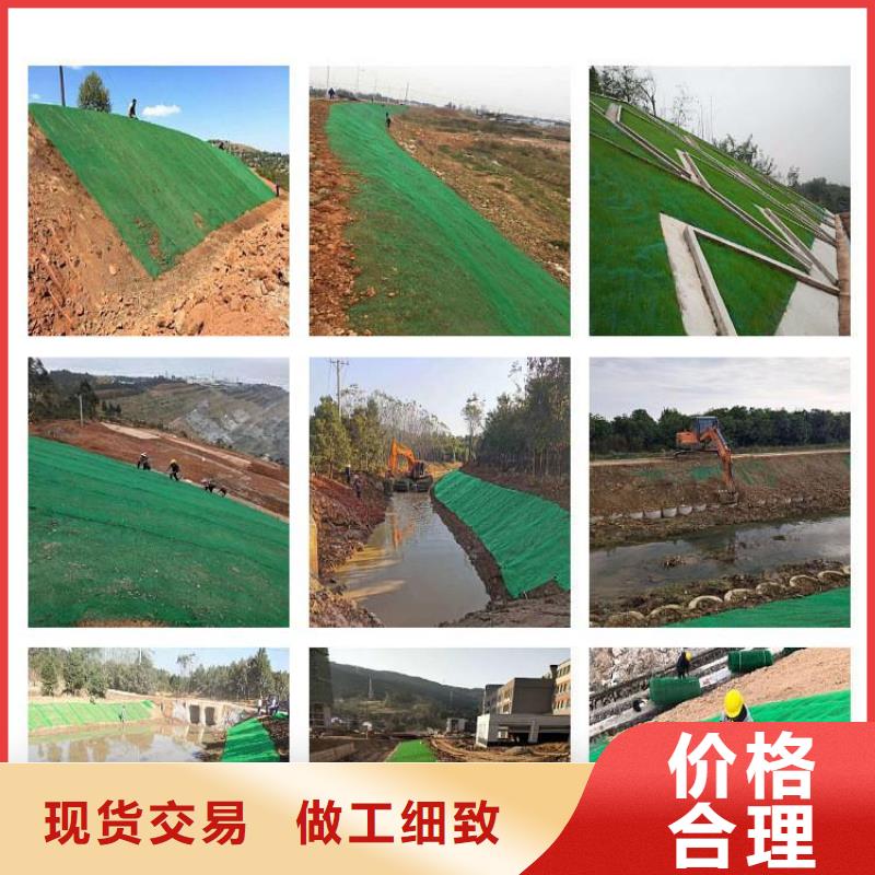 崇义|瑞金|南昌|上饶|新余|吉安三维植被网-【土工格栅】产地源头好货-金鸿耀工程材料(赣州市分公司)