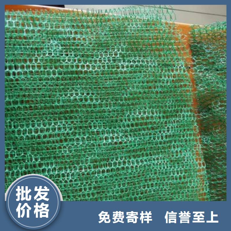 三维植被网-【钢纤维】专注产品质量与服务