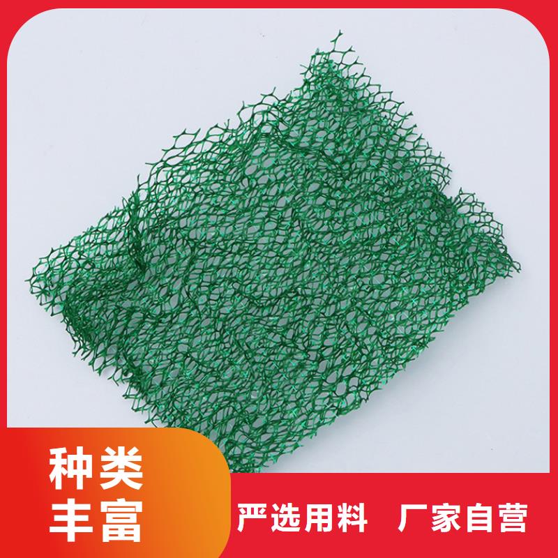 三维植被网【水平止水铜片】准时交付-金鸿耀工程材料(乌兰察布市分公司)