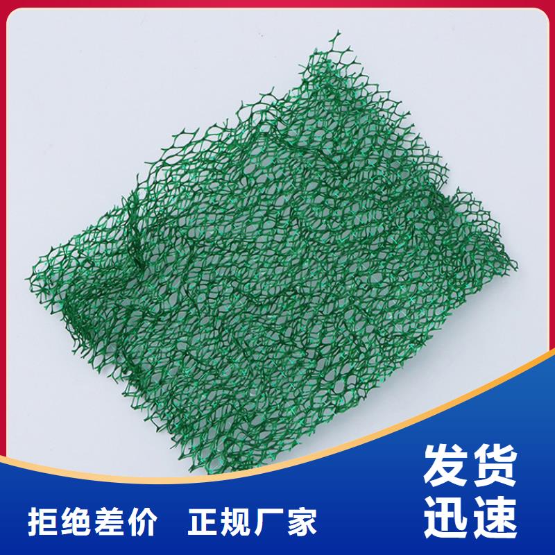 三维植被网铜止水质检合格发货