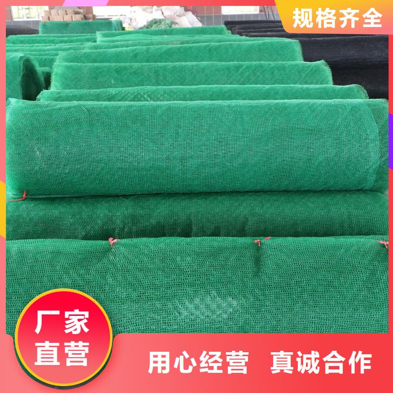 三维植被网,铜止水生产厂家质检合格发货