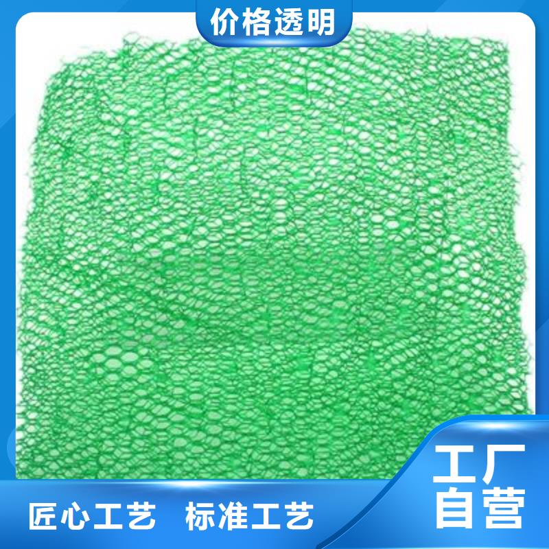 三维植被网铜止水的图文介绍