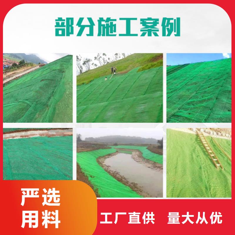 崇义|瑞金|南昌|上饶|新余|吉安三维植被网-【土工格栅】产地源头好货-金鸿耀工程材料(赣州市分公司)
