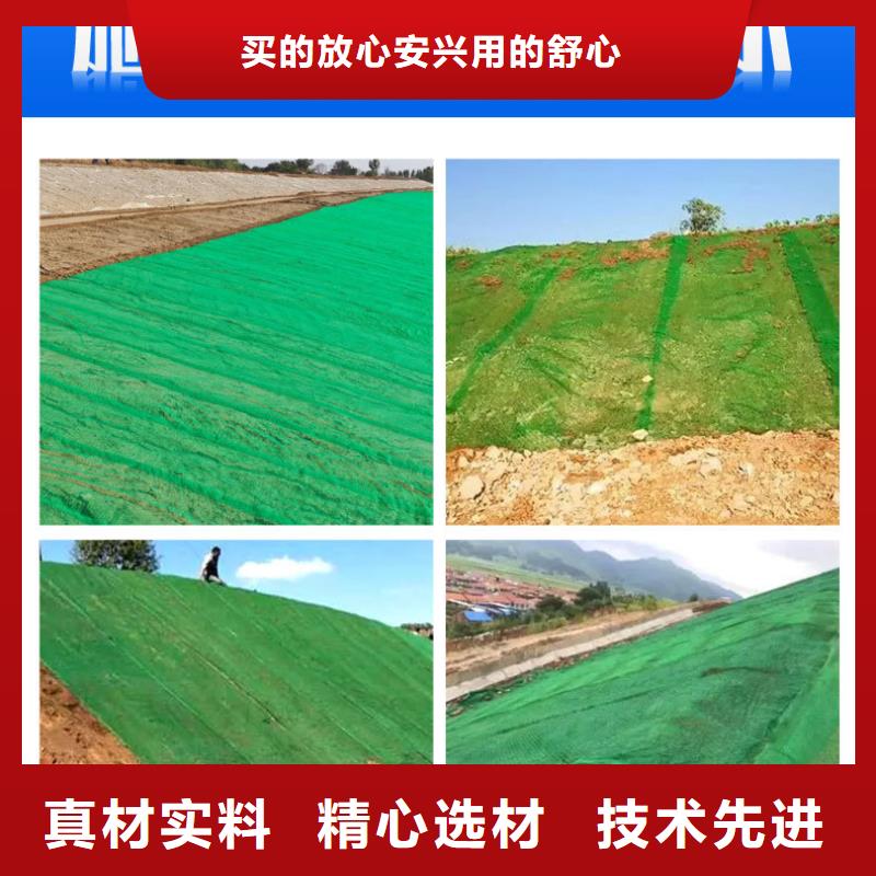 三维植被网-【钢纤维】专注产品质量与服务