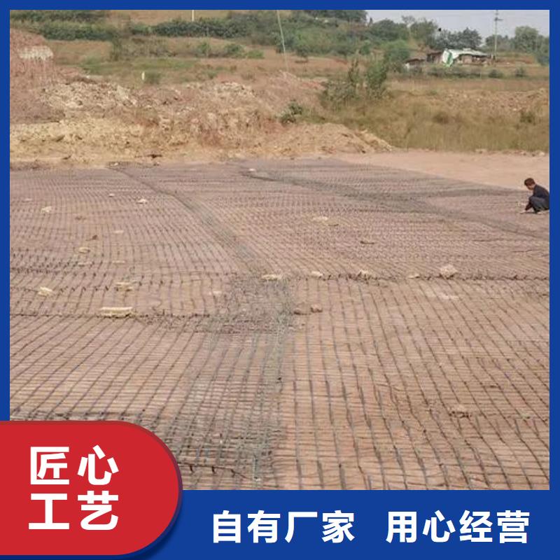 钢塑土工格栅了解更多厂家