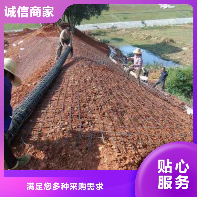 实体厂家支持定制 土工格栅,【排水盲管】实体厂家-本地品牌