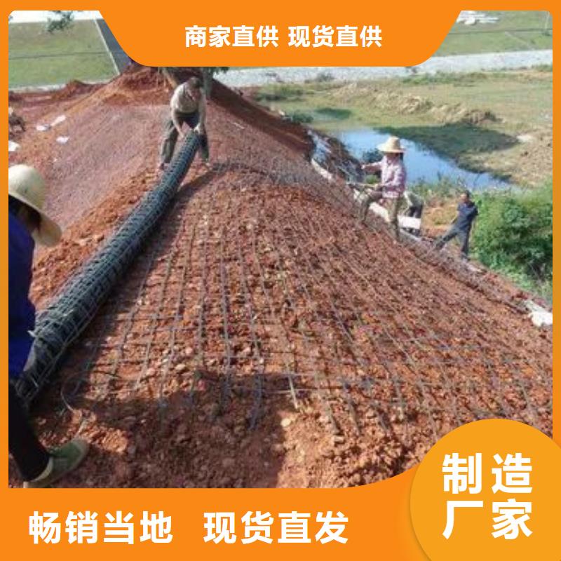 厂家土工格栅【聚乙烯醇纤维】买的是放心