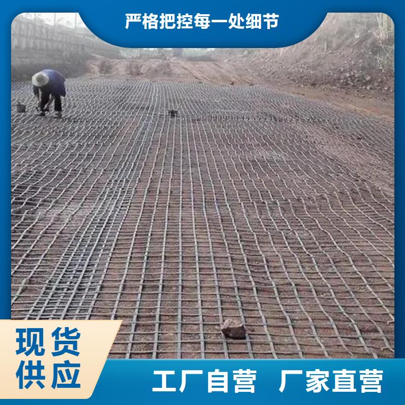 土工格栅聚乙烯醇纤维厂家工期短发货快