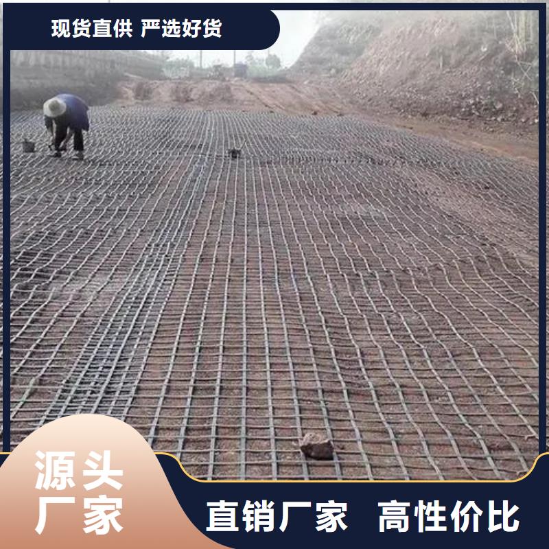 用好材做好产品【土工格栅】铜片止水品质服务本地公司