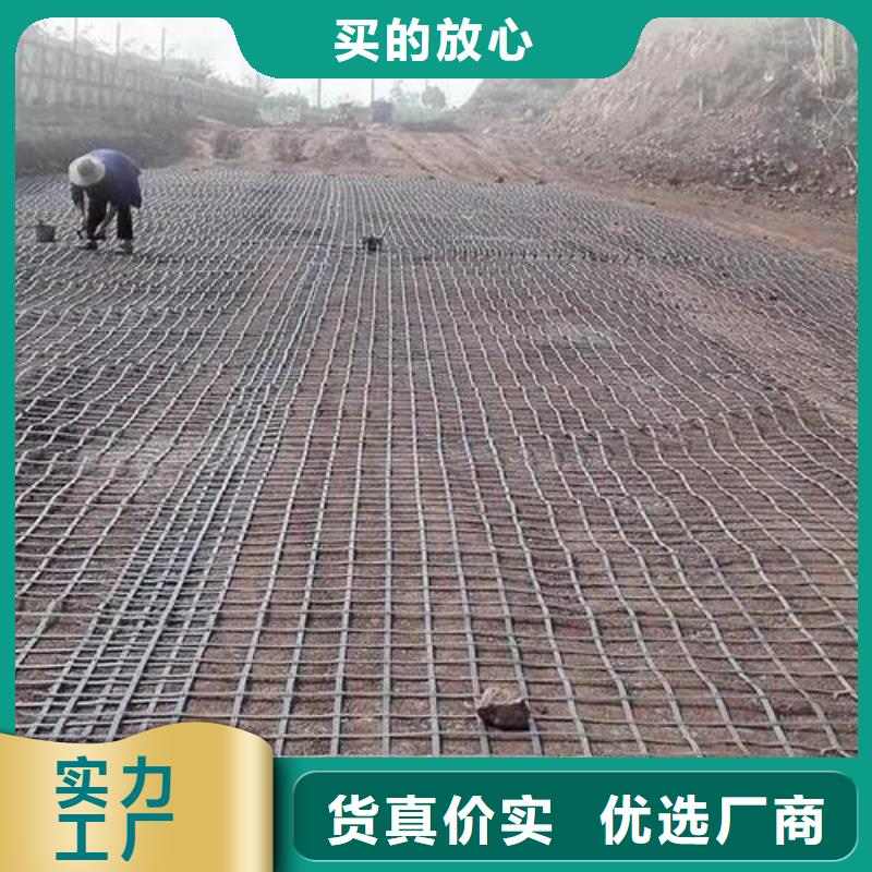 海量现货直销 土工格栅-【土工布】免费回电-服务范围包括阿拉善|赤峰|乌海等