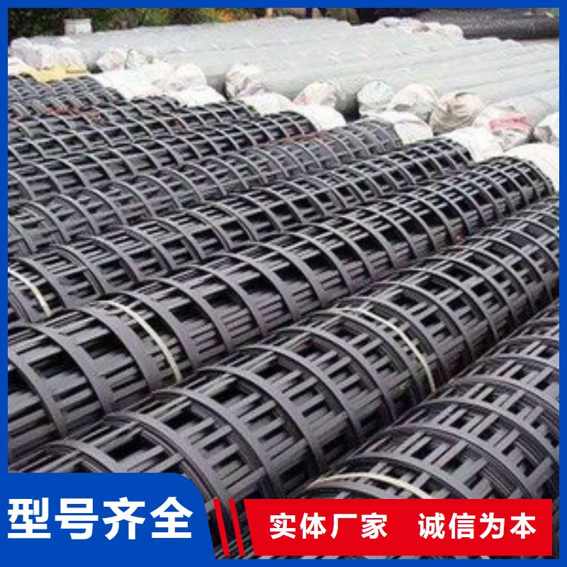 双向钢塑格栅价格合理