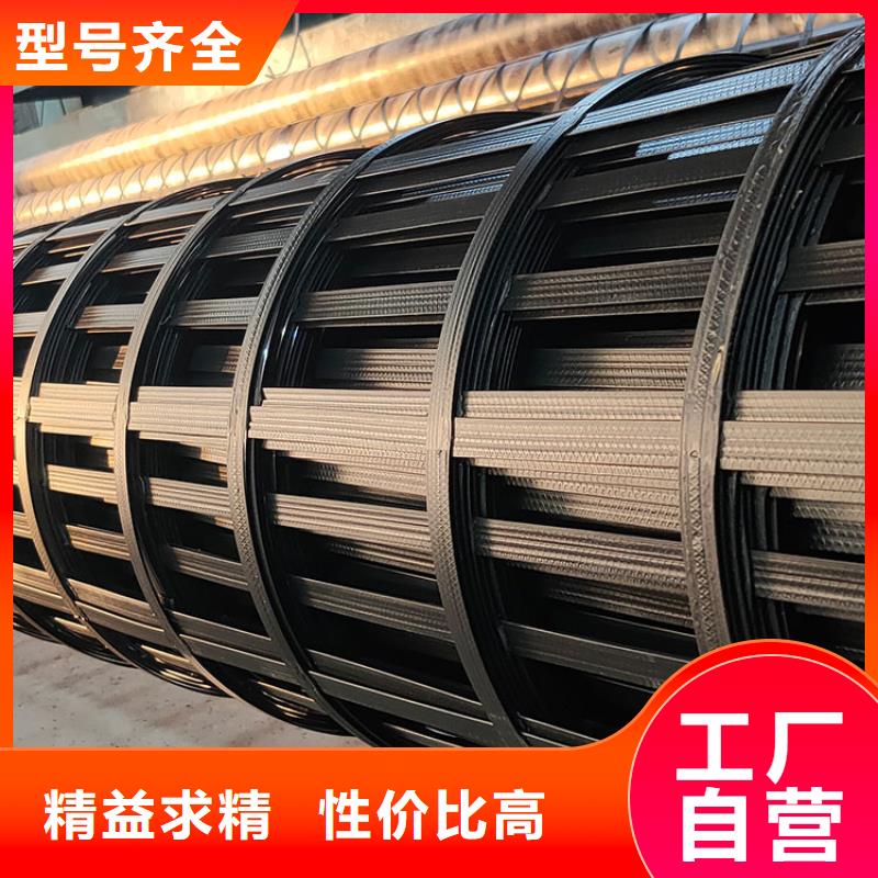 土工格栅_【pp杜拉纤维】实地大厂-金鸿耀工程材料(淮安市分公司)