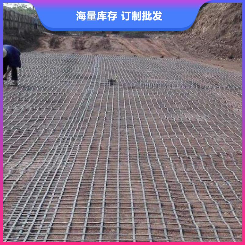 双向钢塑格栅价格合理