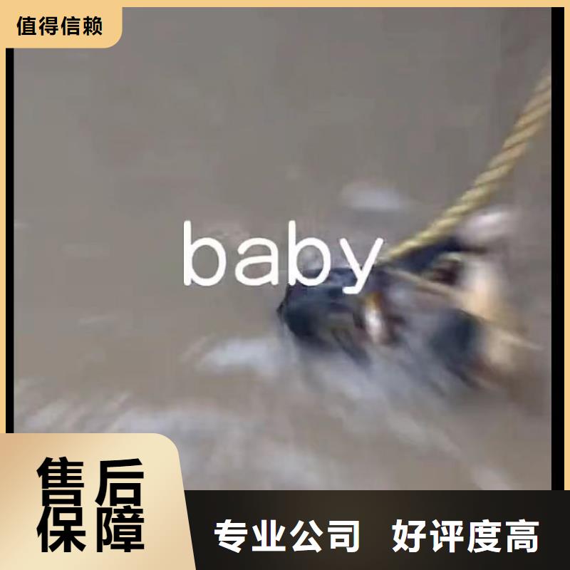 山东水下打捞切割-水下管道砌墙实力商家