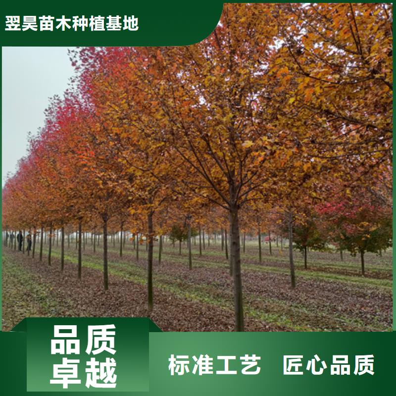 法桐北京栾制造生产销售
