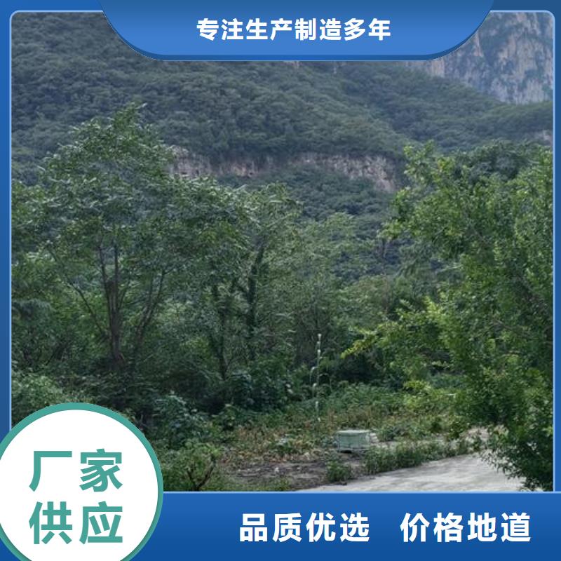 二次构造柱泵一件也发货