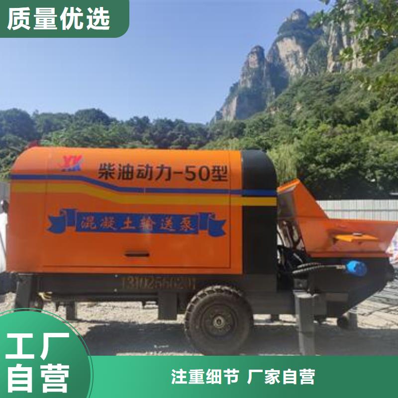 二次构造柱泵小型混凝土输送泵实力工厂