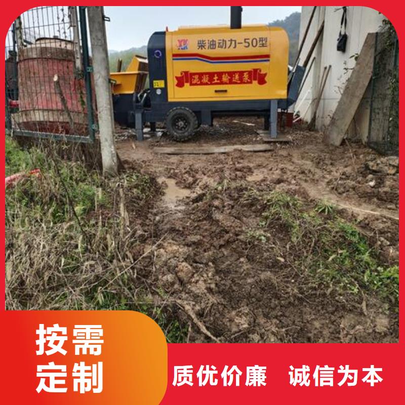 二次构造柱泵【微型混凝土泵】一站式采购商家