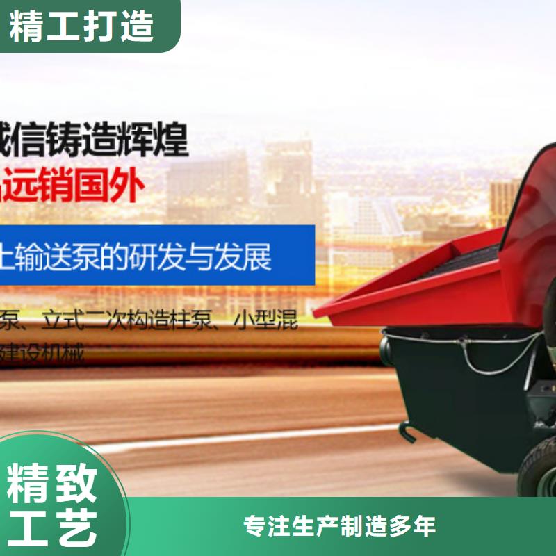 二次构造柱泵混凝土输送泵一站式采购方便省心