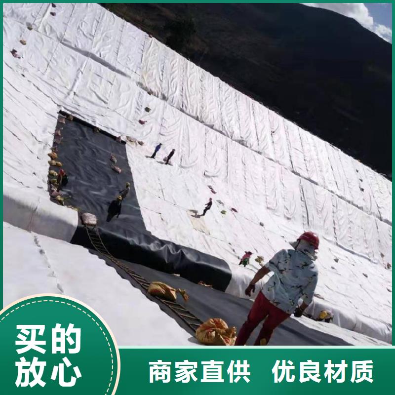 土工膜-抗裂贴批发价格