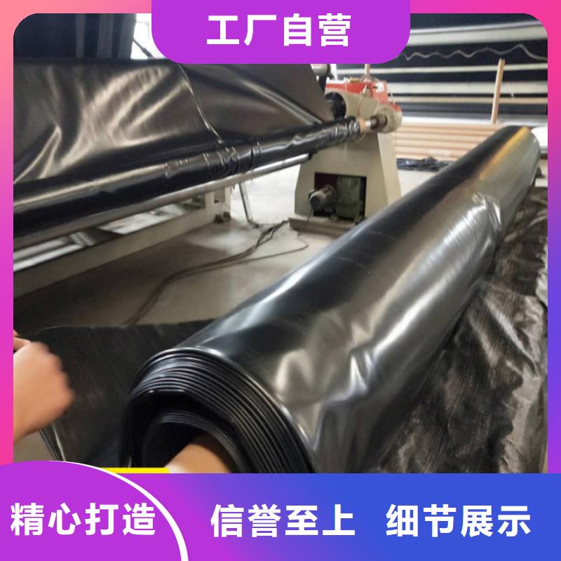 土工膜土工格栅价格实惠工厂直供