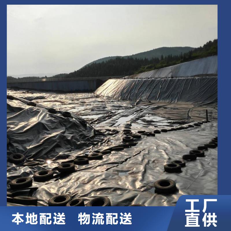 土工膜_双向土工格栅采购