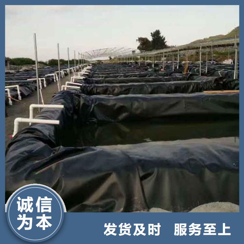 土工膜土工格栅价格实惠工厂直供