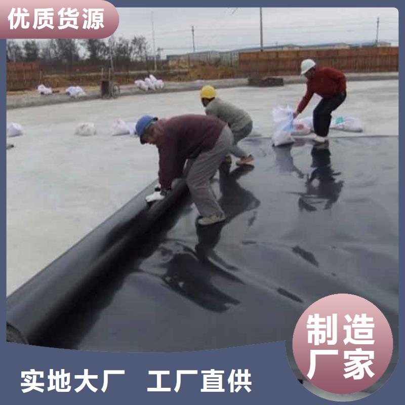 土工膜_双向土工格栅采购