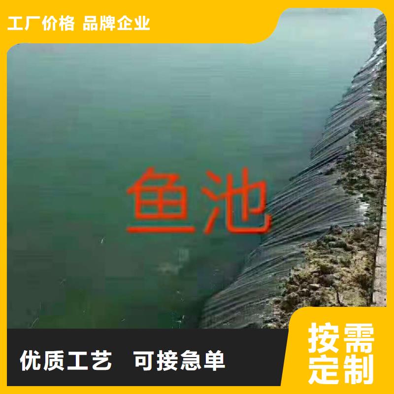 土工膜_双向土工格栅采购