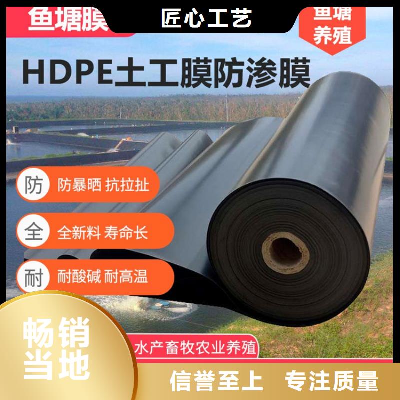 土工膜玻璃纤维土工格栅符合标准