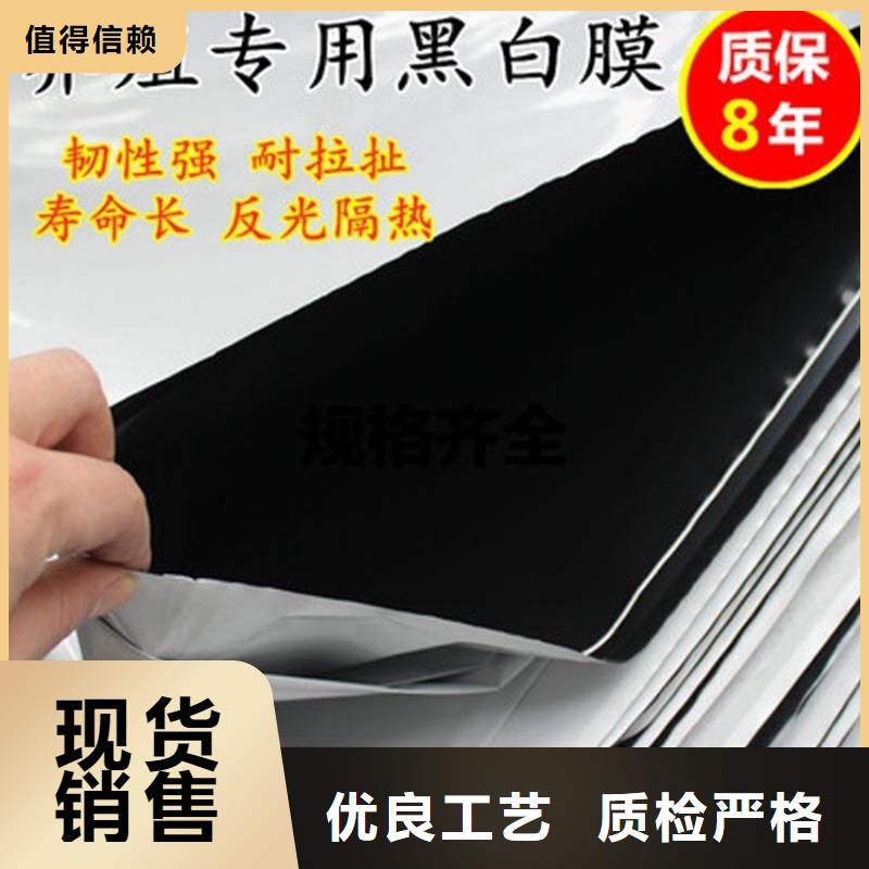 土工膜_双向土工格栅采购
