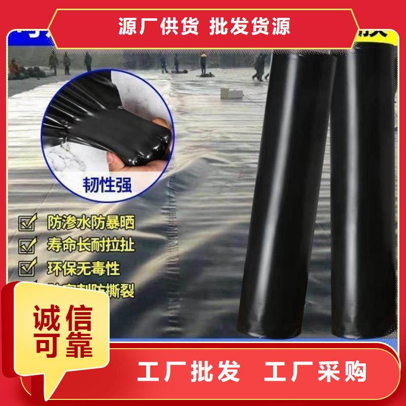 土工膜土工网垫现货充足量大优惠