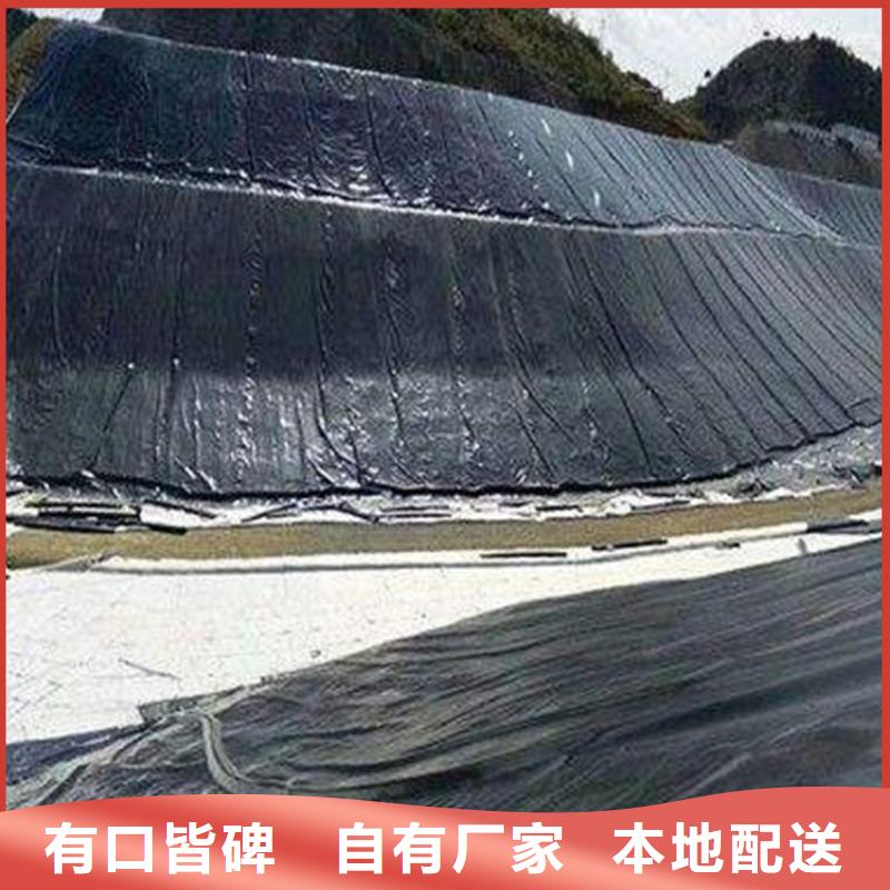 土工膜防渗膜服务至上