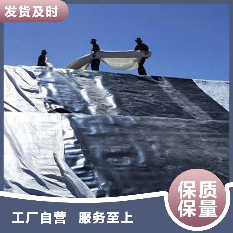 土工膜_双向土工格栅采购